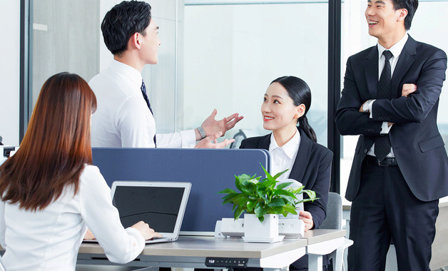 得利斯公司簡介（6篇范文）