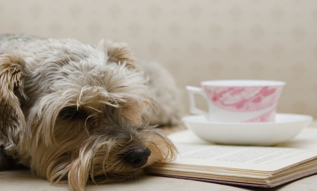 個(gè)人聽課心得體會(huì)怎么寫怎么寫(精選8篇)