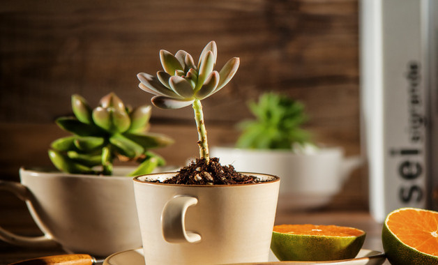 鼓風(fēng)機(jī)崗位操作規(guī)程（八篇）