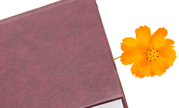 世普公司簡(jiǎn)介（11篇范文）