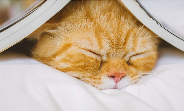 供應(yīng)管理工程師崗位職責(zé)怎么寫（精選8篇）