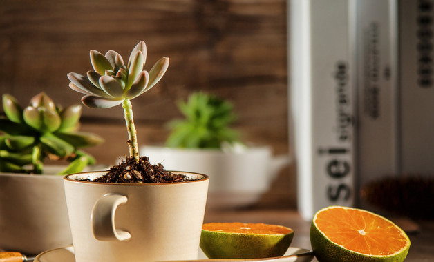 塔機(jī)安全技術(shù)操作規(guī)程（七篇）