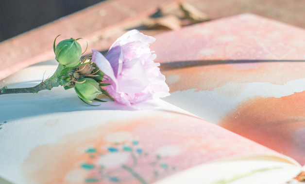 個人月工作總結(jié)怎么寫十篇