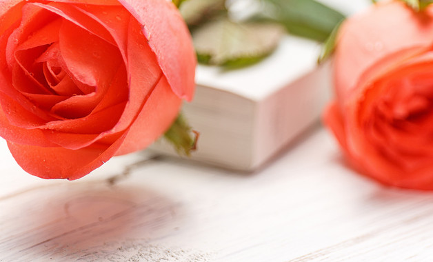 社區(qū)干部2024年終述職報告十二篇