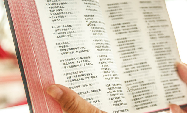 2025年領導干部學習心得體會怎么寫(精選8篇)