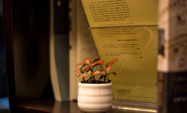 中班教育教學(xué)心得體會(huì)怎么寫(精選8篇)