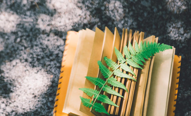 暑期三下鄉(xiāng)個(gè)人總結(jié)(支教)十篇 暑期三下鄉(xiāng)個(gè)人總結(jié)(支教)十篇