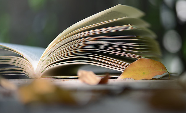 光伏新能源公司簡(jiǎn)介（16篇范文）