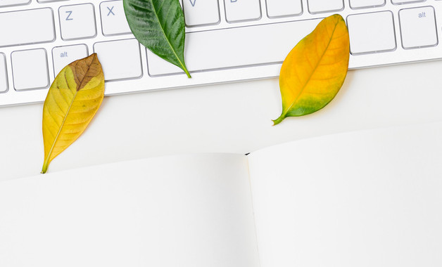 財(cái)務(wù)會(huì)計(jì)管理制度(十二篇)