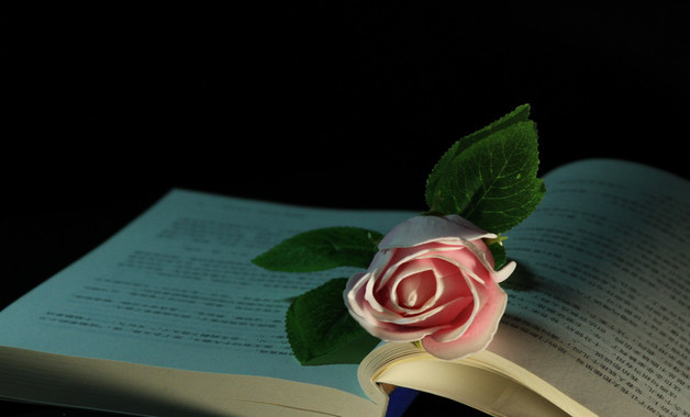 紙品貿(mào)易公司簡(jiǎn)介(11篇范文)