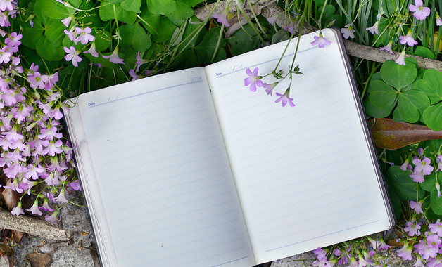 木工機(jī)械安全技術(shù)規(guī)程(十二篇)