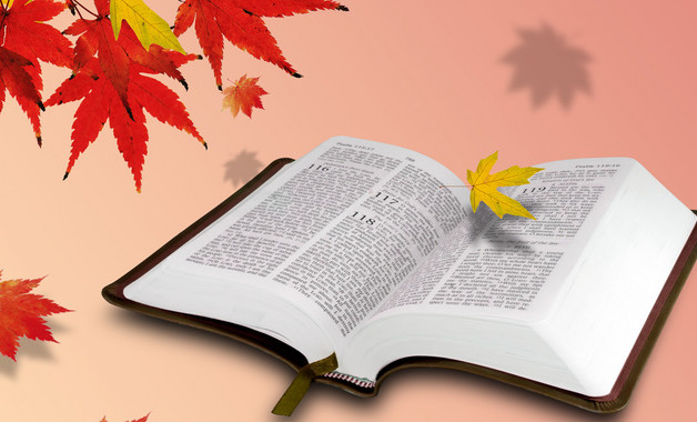 客服中心辦公內(nèi)勤崗位職責(zé)（十二篇）