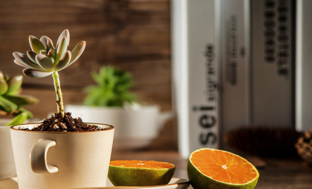 國(guó)際貿(mào)易總公司簡(jiǎn)介(5篇范文)