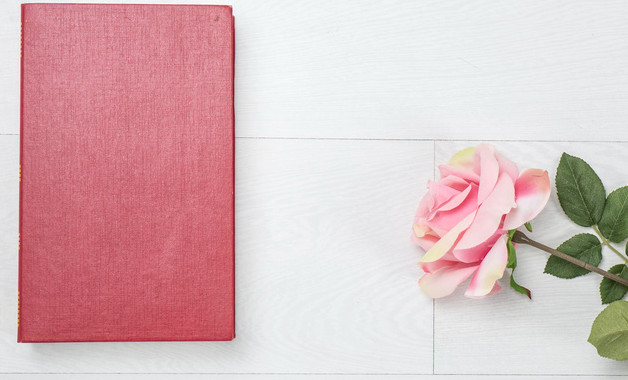 品牌鞋公司簡介（50篇范文）