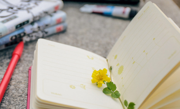 xxxx年財(cái)務(wù)出納年度工作總結(jié)十篇