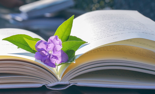 設(shè)計副總監(jiān)崗位職責職位要求（2篇范文）