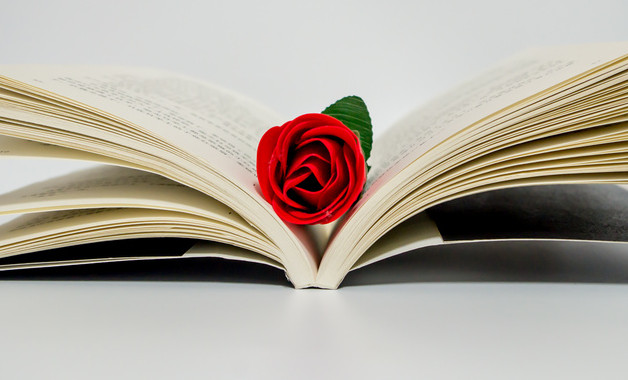 信貸管理崗崗位職責(zé)(十二篇)