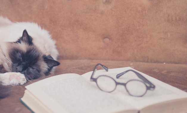 自由貿(mào)易公司簡(jiǎn)介(50篇范文)