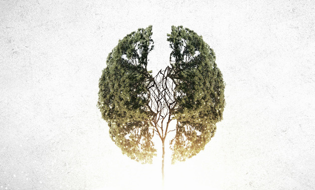 西游記讀書心得范本怎么寫(精選8篇)