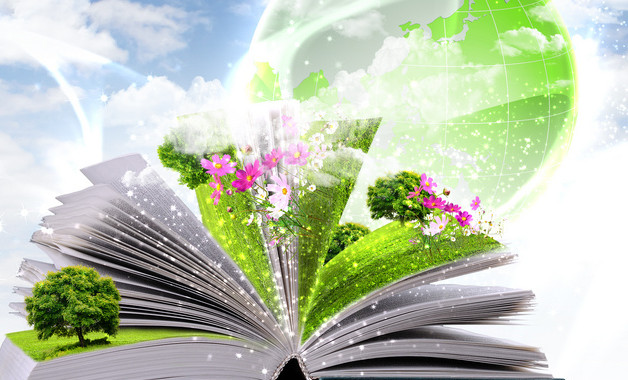 關(guān)于空氣污染調(diào)查報(bào)告十二篇