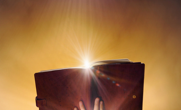 物業(yè)小區(qū)管理規(guī)約示范文本征求意見(jiàn)稿（15篇范文）