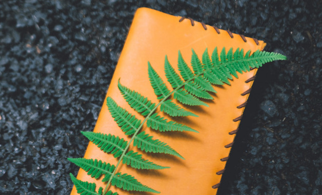 財(cái)務(wù)工作總結(jié)錦集十篇