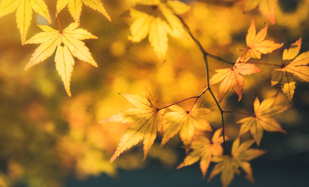 橡塑機械公司經(jīng)營范圍(44個范本)