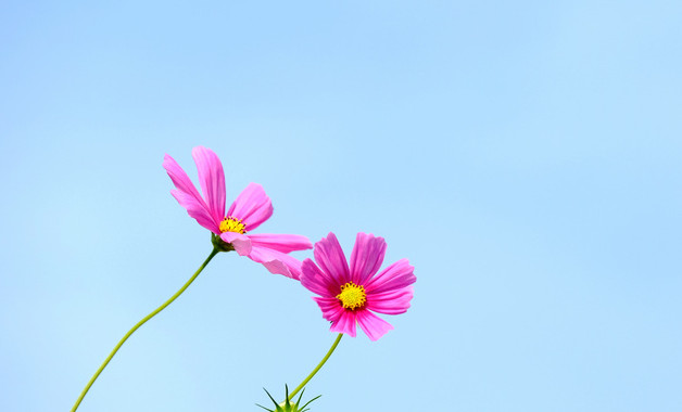 機械五金公司經(jīng)營范圍(78個范本)