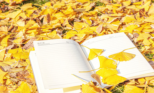 教師國培計(jì)劃學(xué)習(xí)心得精選范文最新怎么寫(精選8篇)